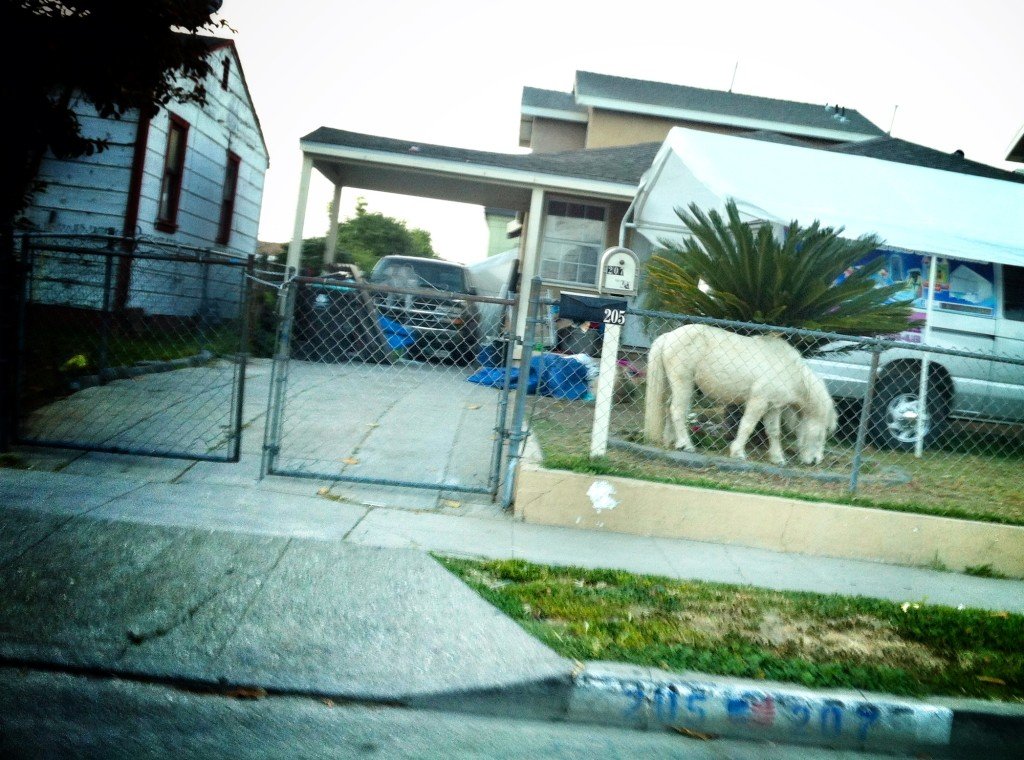 Straight Outta Compton: Things to Do in South Central 7 Compton