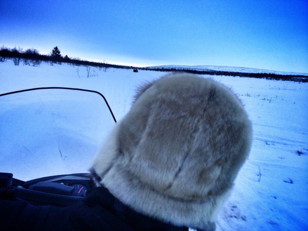 sami reindeer herder lapland finland