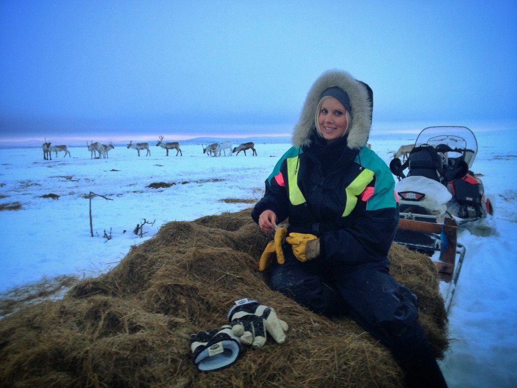 Reindeer herding lapland finland utsjoki