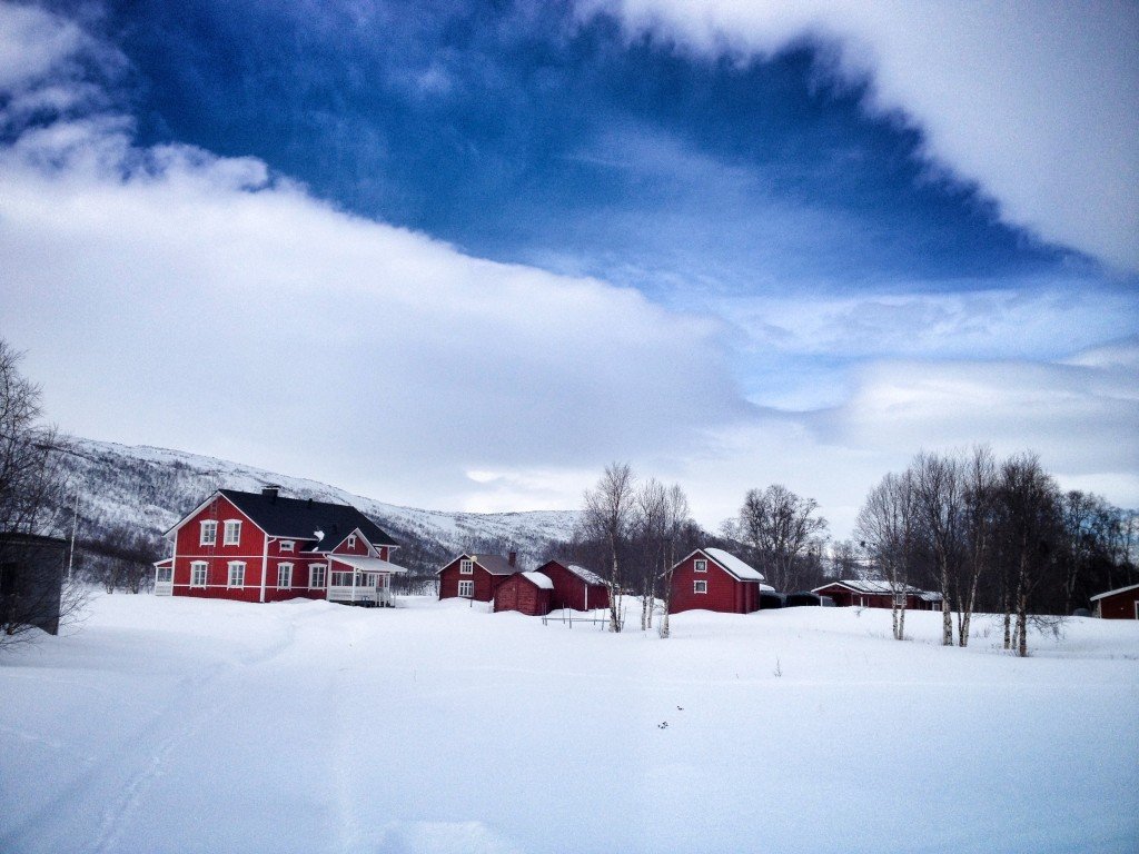 Image 8