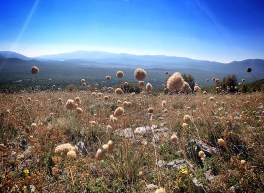 Kijevo Dalmatia Croatia 1 1