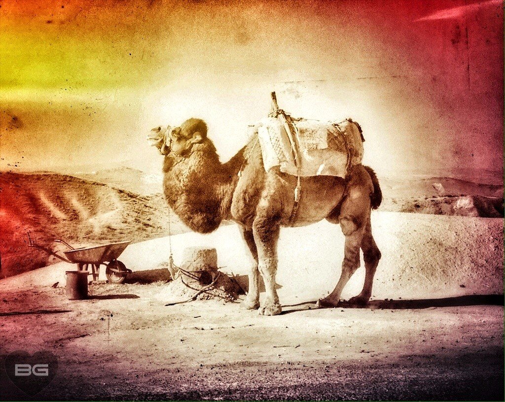 A Little Cappadocia Fauxtography 8 Colorful Camel Cappadocia Turkey © The Blonde Gypsy