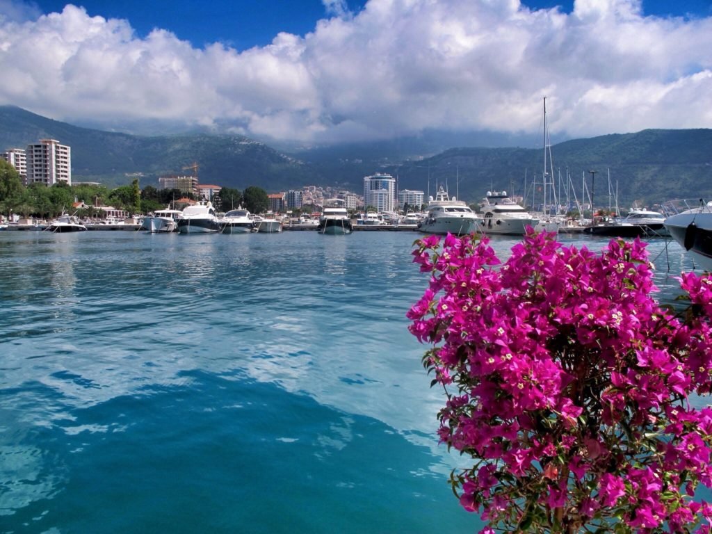Harbor in Budva, Montenegro © The Blonde Gypsy