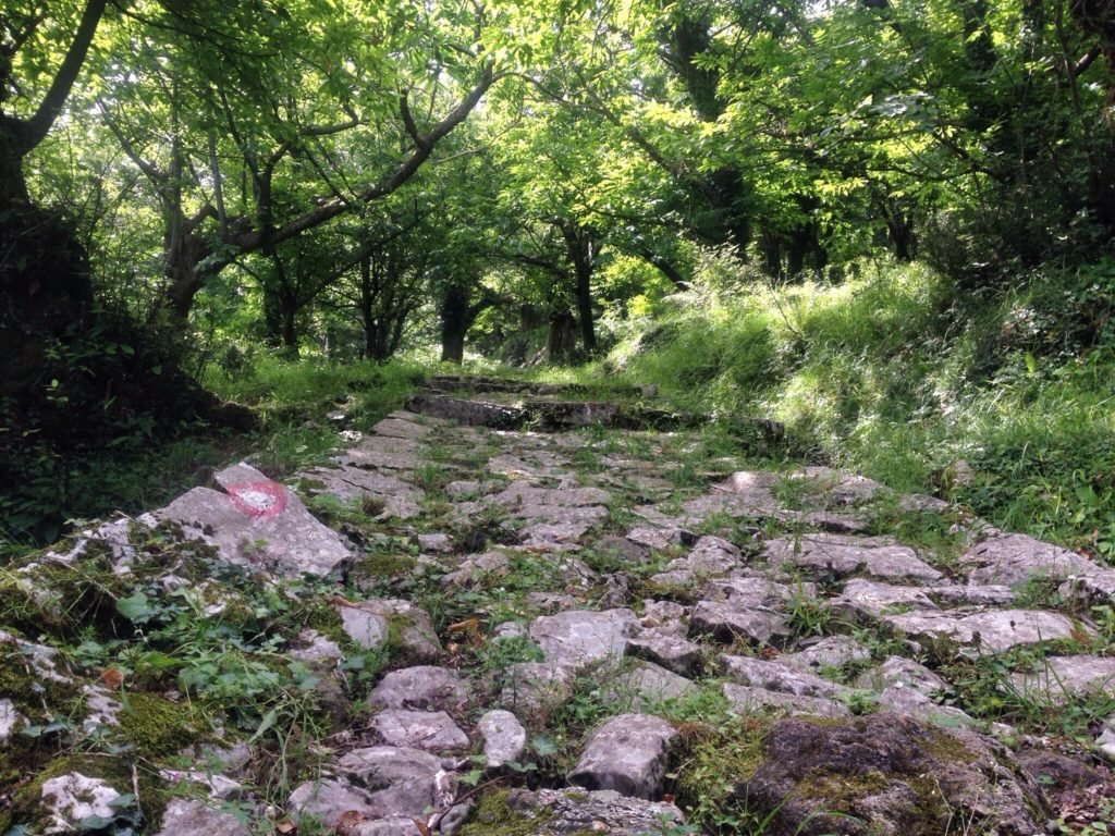 6 Things You Shouldn’t Miss (But Might) in Kotor, Montenegro 12 Path up to Gornji Stoliv Montenegro © The Blonde Gypsy.