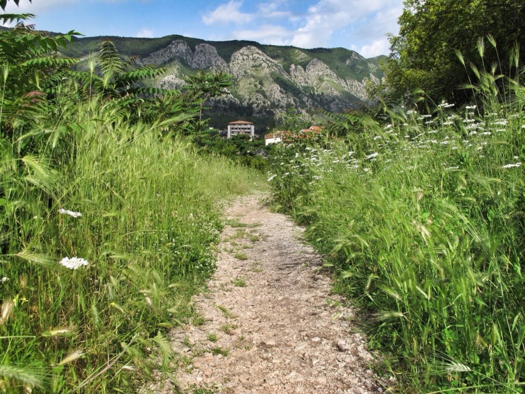 6 Things You Shouldn’t Miss (But Might) in Kotor, Montenegro 6 Start of trail on the climb up to fortress in Kotor Montenegro © The Blonde Gypsy