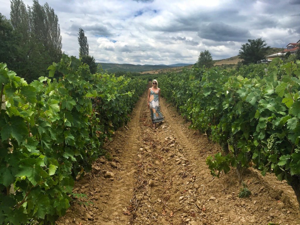 15 Places to Visit in North Macedonia That Are Not Skopje or Ohrid 9 Vineyards and wine tasting in Demir Kapija, North Macedonia