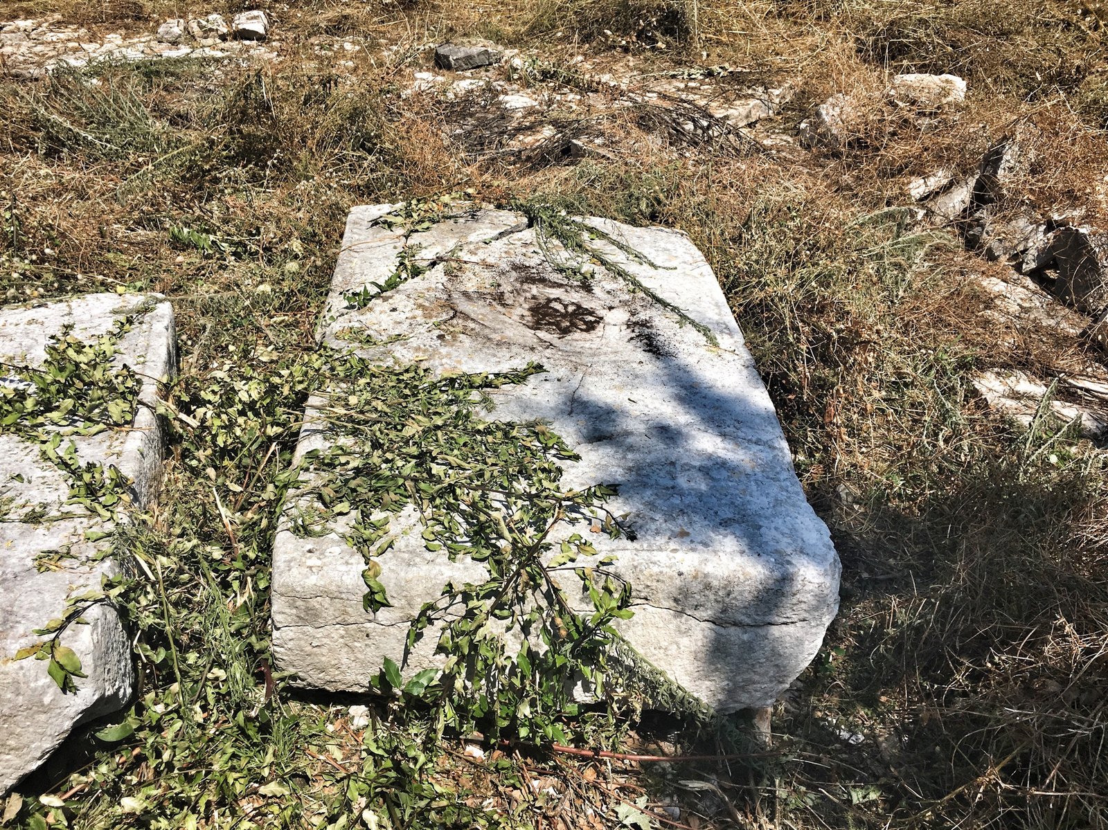 Via Dinarica: Exploring Ravno, Neum, and the Beaches of Bosnia & Herzegovina 19 Motif on stecci near Neum, Bosnia & Herzegovina © The Blonde Gypsy