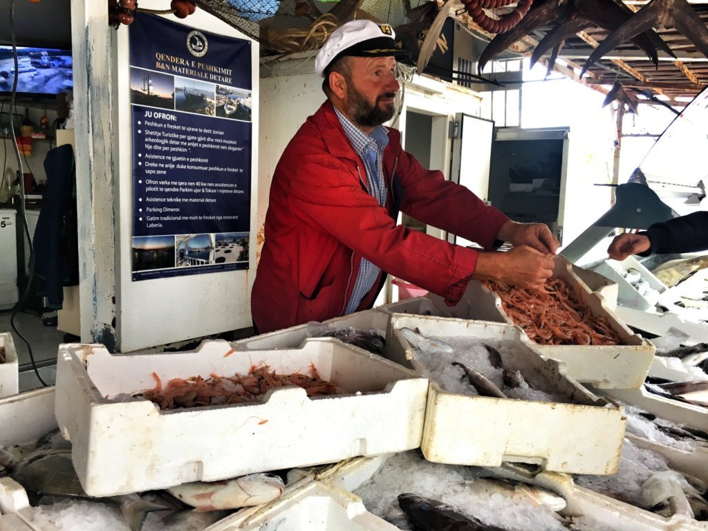 Fish for sale at Qender Peshkimi in Orikum Albania © The Blonde Gypsy