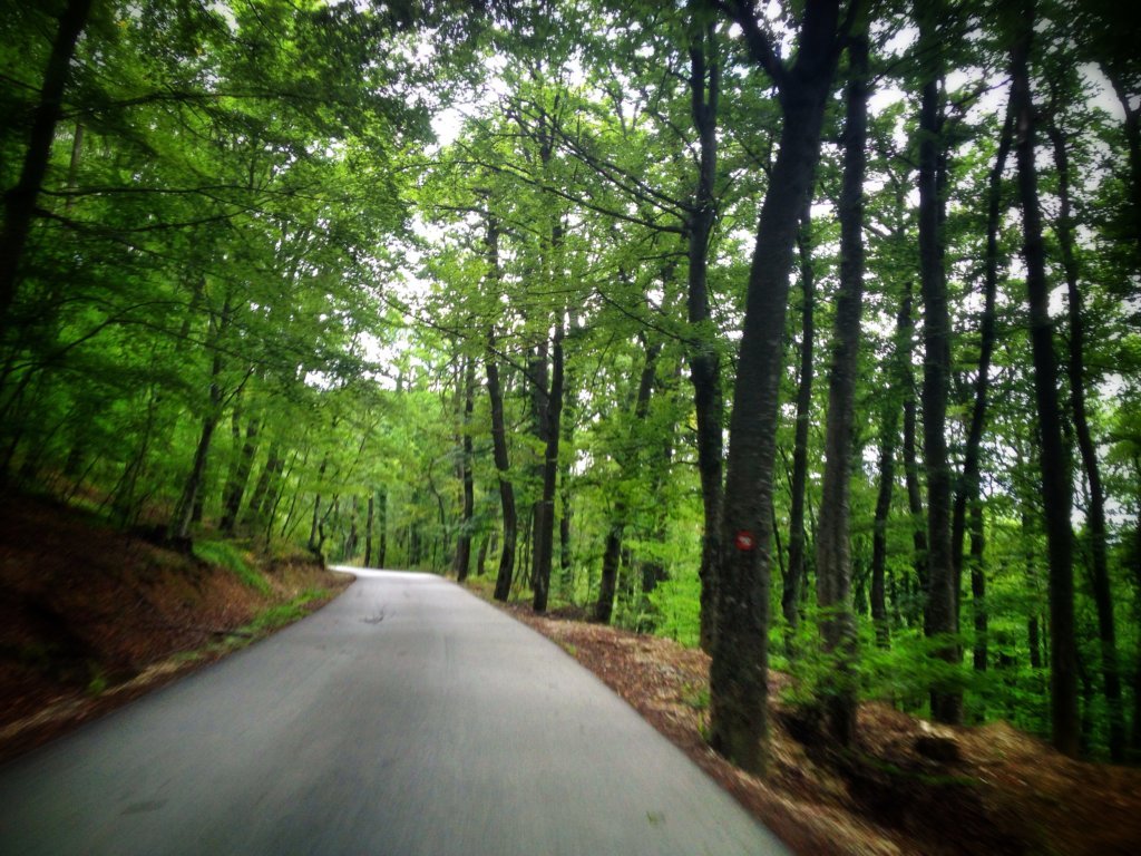 More like a forest than a park Germia is the green lung of Prishtina