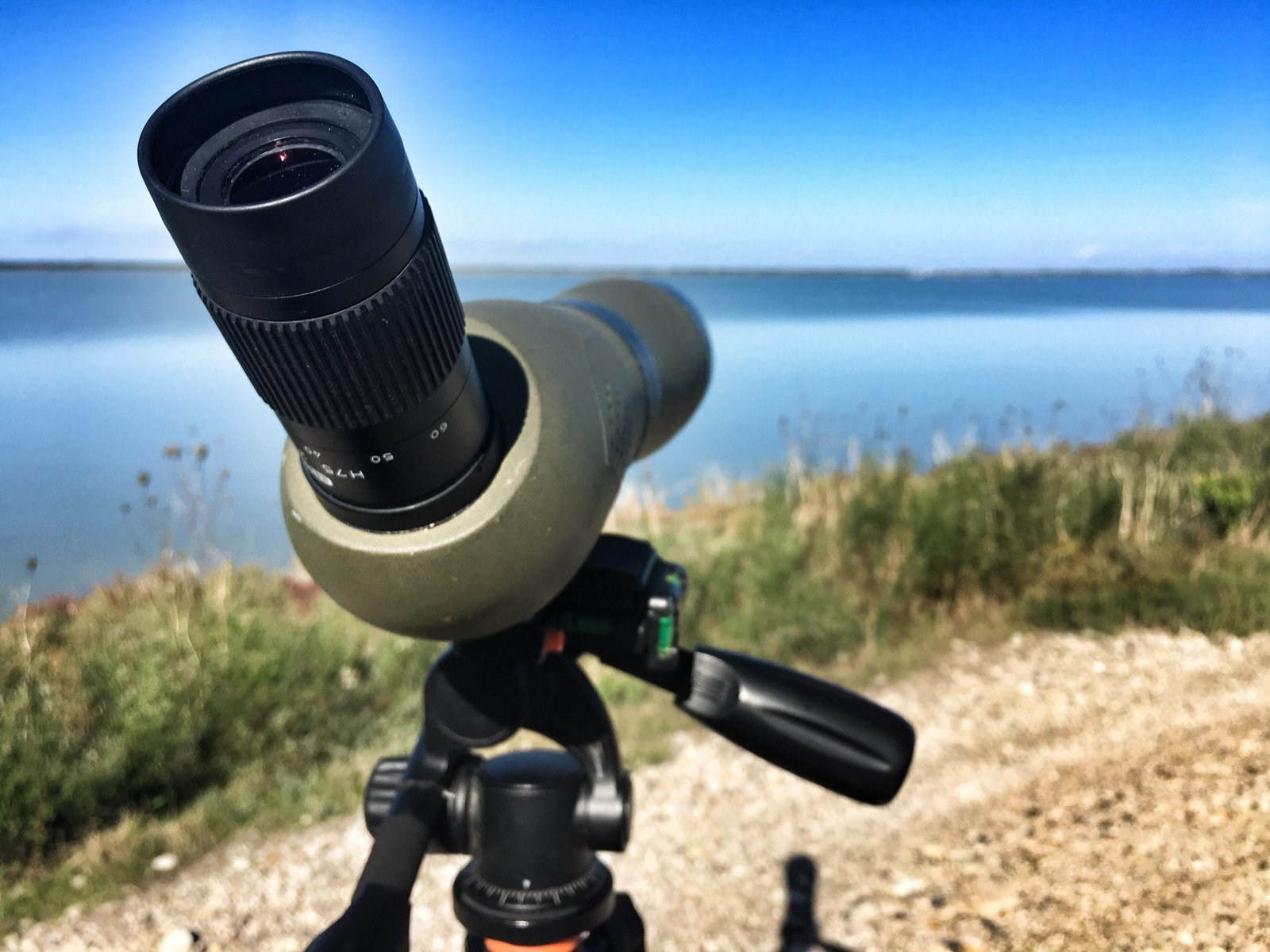 A Birdwatcher's Paradise: Vlorë, Albania 2 IMG 1506