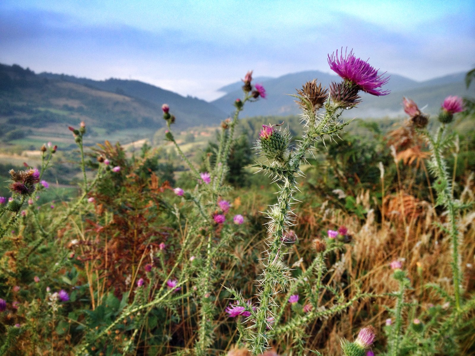 Natural beauty of Kruševo