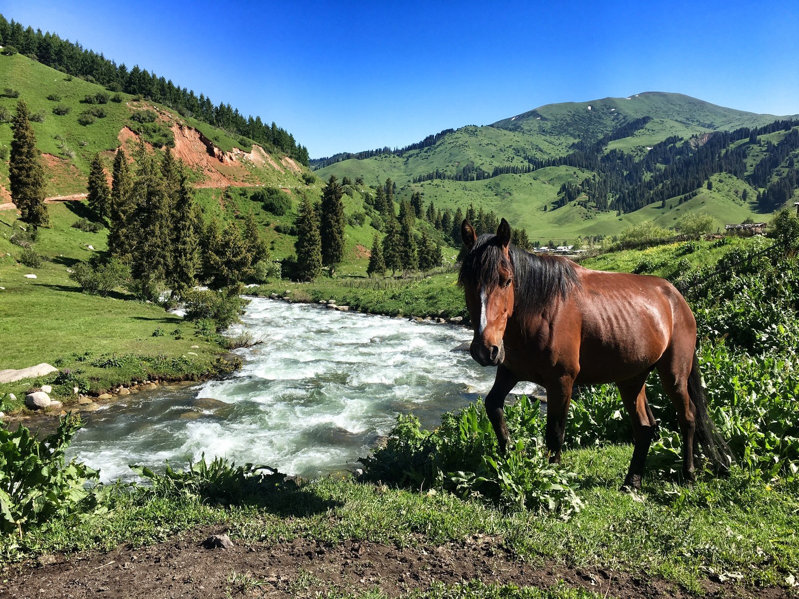 Heading up to Eki Chat in Jyrgalan Kyrgyzstan © The Blonde Gypsy