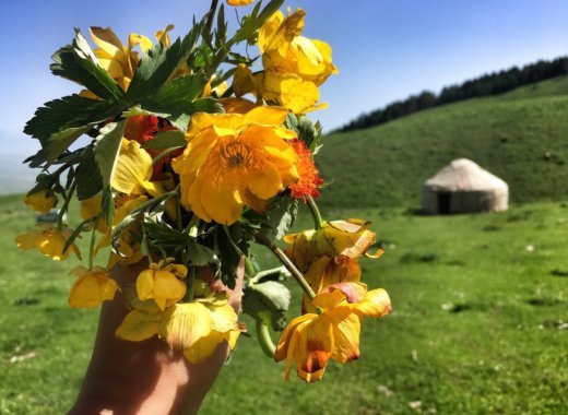 Karaoke in Karakol & Other Things That’ll Blow Your Mind Around Issyk Kul, Kyrgyzstan 27 Karakol Flowers Featured