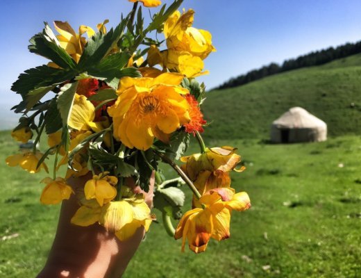 Karaoke in Karakol & Other Things That’ll Blow Your Mind Around Issyk Kul, Kyrgyzstan 20 Karakol Flowers Featured