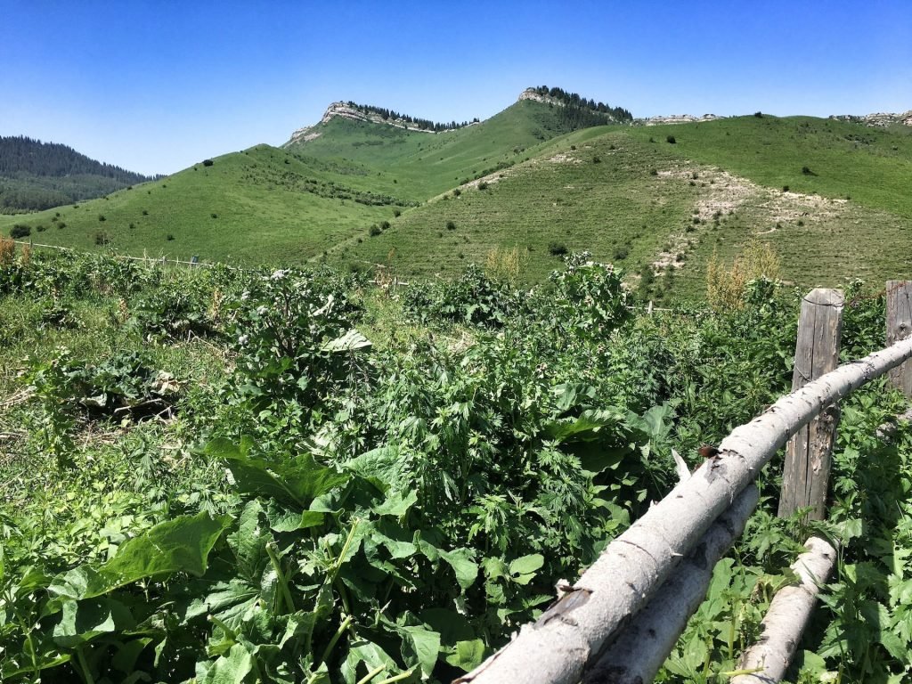 Kerege Tash Issyk Kul Kyrgyzstan © larissa olenicoff