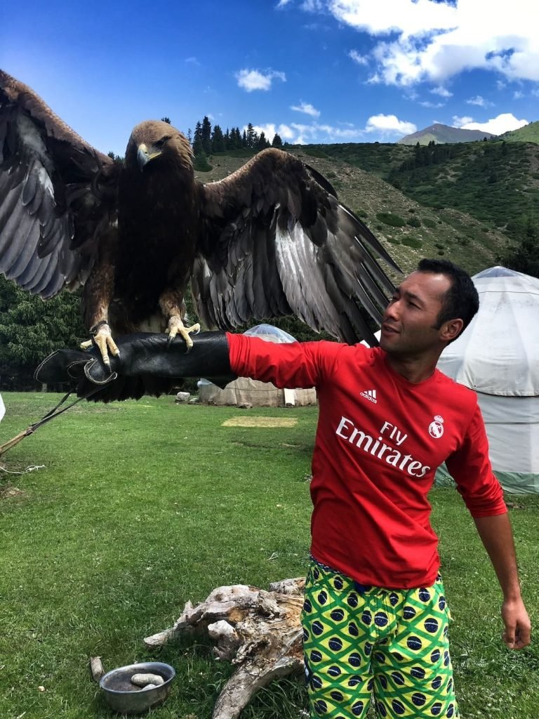 Kudrat getting down with an eagle in the Valley of the Flowers near Issyk Kul in Kyrgyzstan © larissa olenicoff
