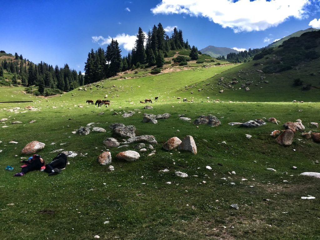 Nap time at the Valley of the Flowers near Issyk Kul in Kyrgyzstan © larissa olenicoff