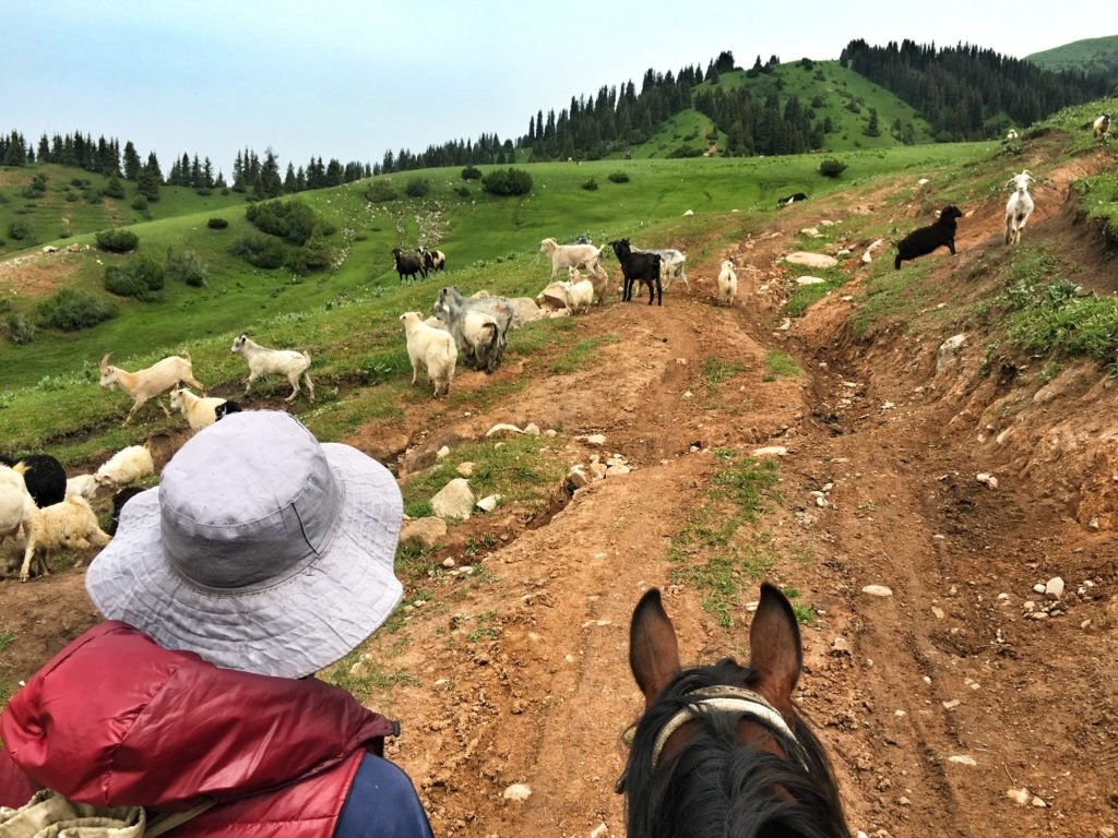 Slow and steady horse trek above Jyrgalan Kyrgyzstan © The Blonde Gypsy