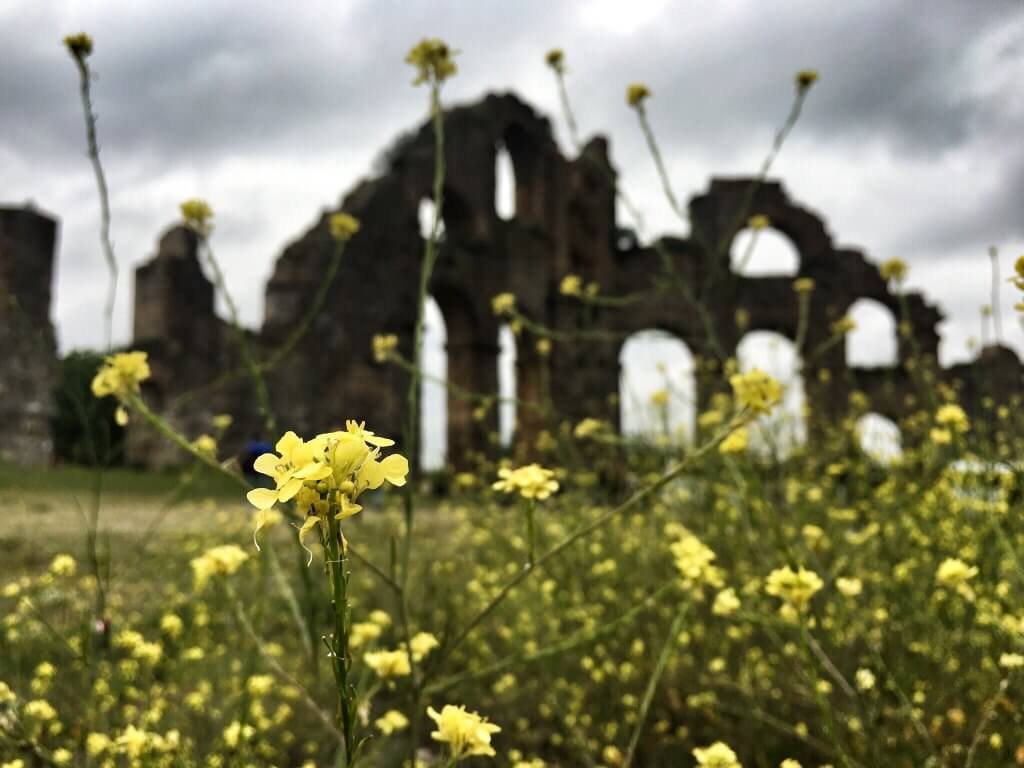 Fields and aquaduct near Aspendos Theatre Serik Antalya Turkey © The Blonde Gypsy